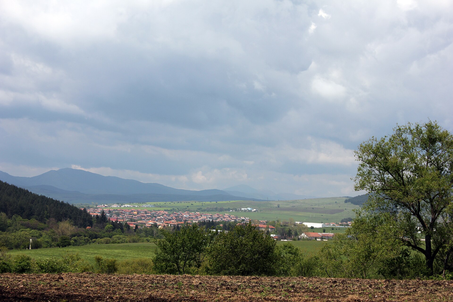Брезник