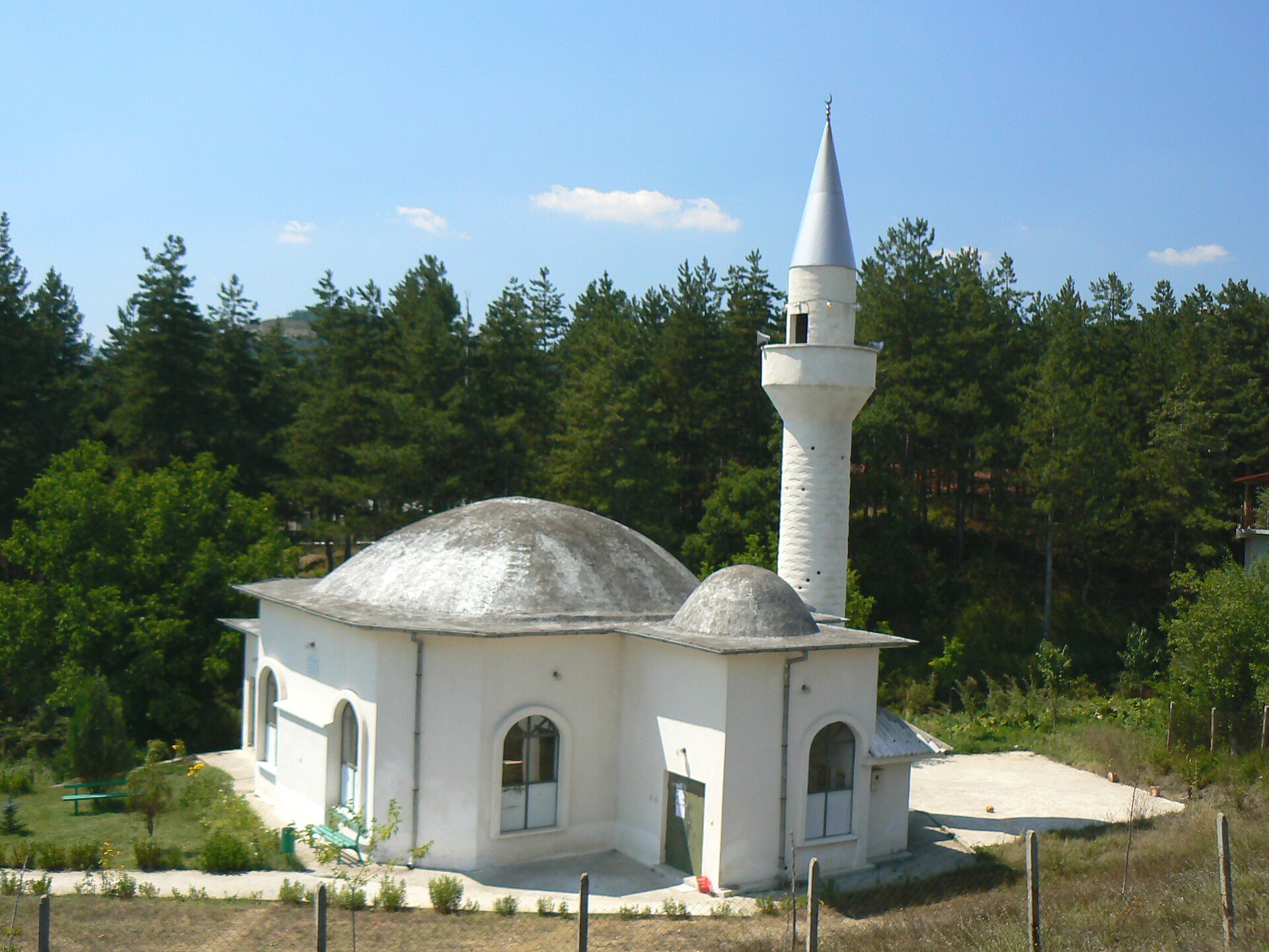 Черноочене