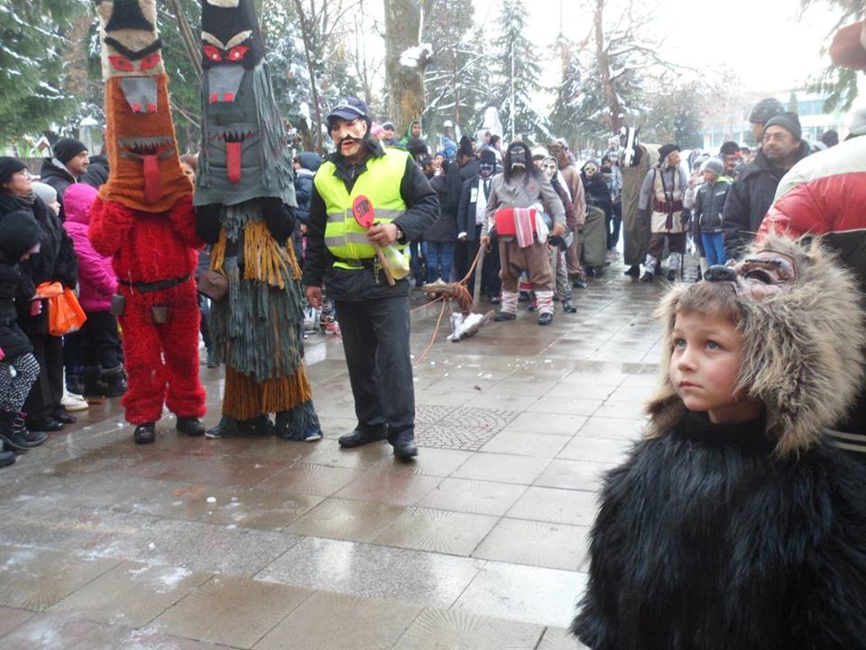 Долна Митрополия