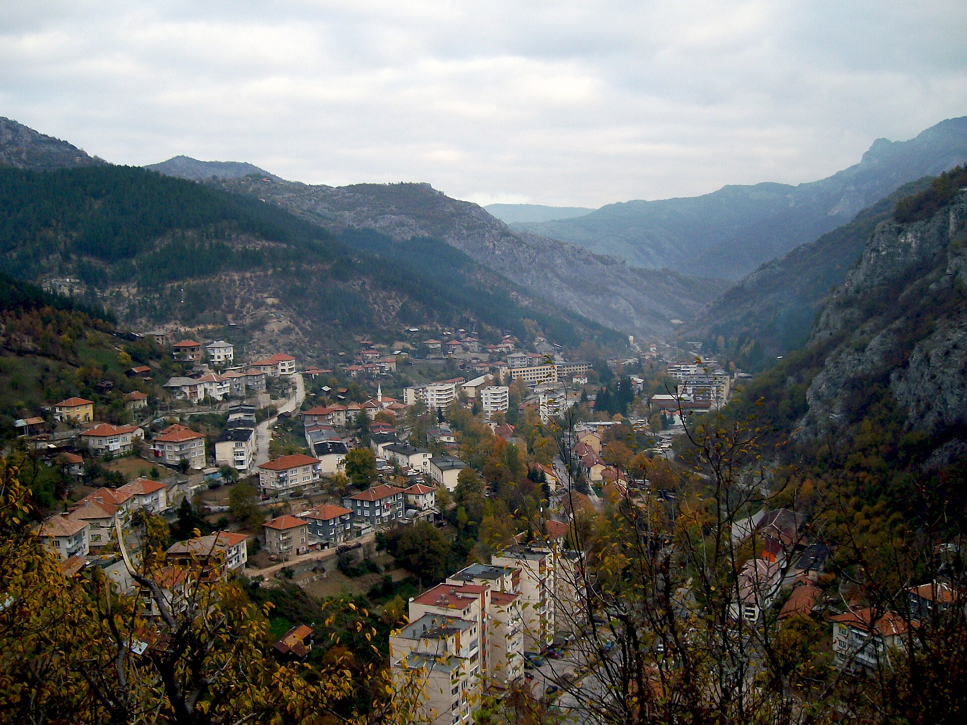Лъки