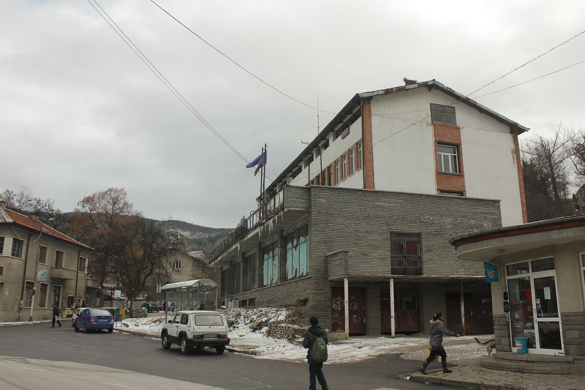 Владая